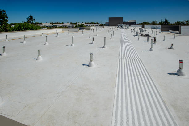 Best Roof Coating Services  in Sheffield, AL